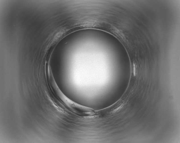 X0000059790205200510211126