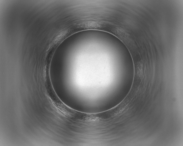 X0000059790206200510211126