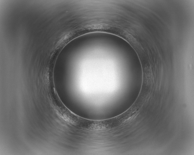 X0000059790207200510211126