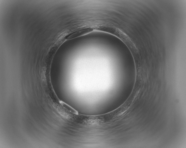 X0000059790209200510211126