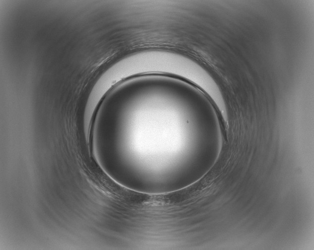 X0000059790211200510211126