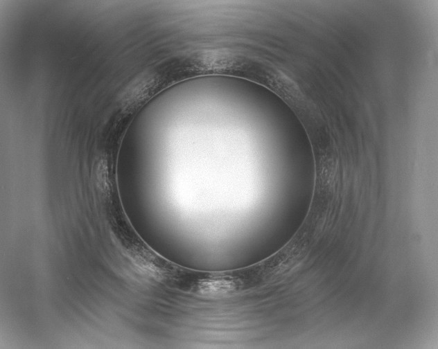 X0000059790220200510211126