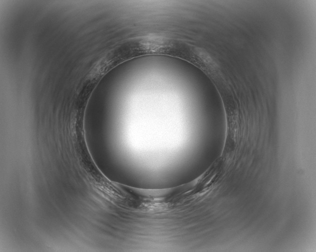 X0000059790221200510211126