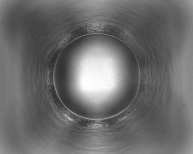 X0000059790224200510211126