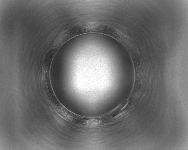 X0000059790225200510211126