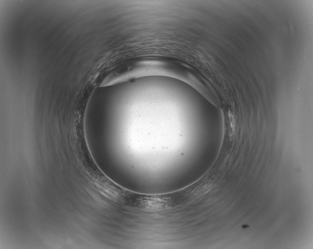 X0000059790229200510211126