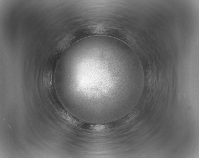 X0000059790230200510211126