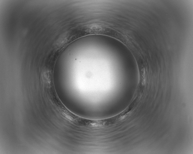 X0000059790232200510211126