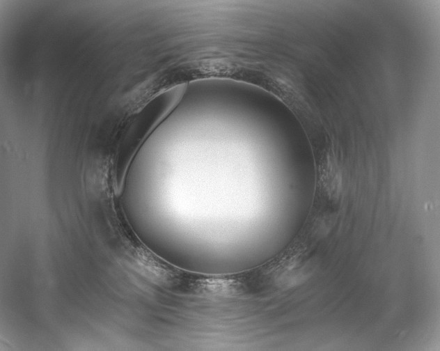 X0000059790233200510211126
