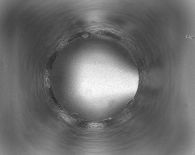 X0000059790234200510211126