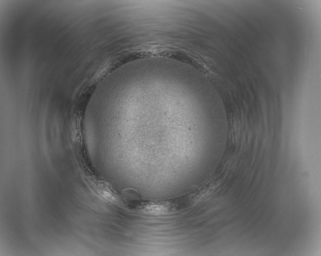 X0000059790236200510211125