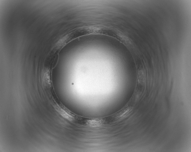 X0000059790238200510211125
