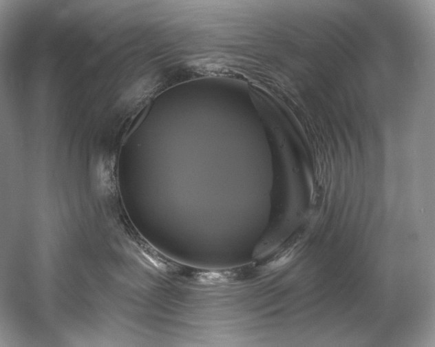 X0000059790239200510211125