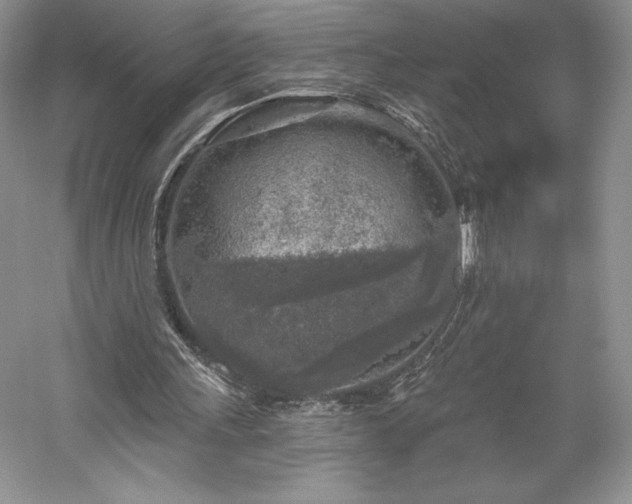 X0000059790243200510211125