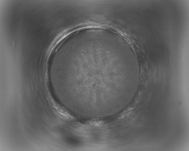 X0000059790247200510211125