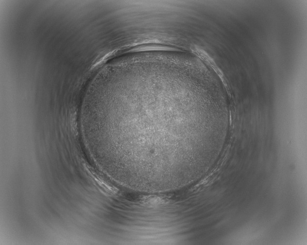X0000059790249200510211125