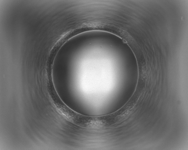 X0000059790256200510211125