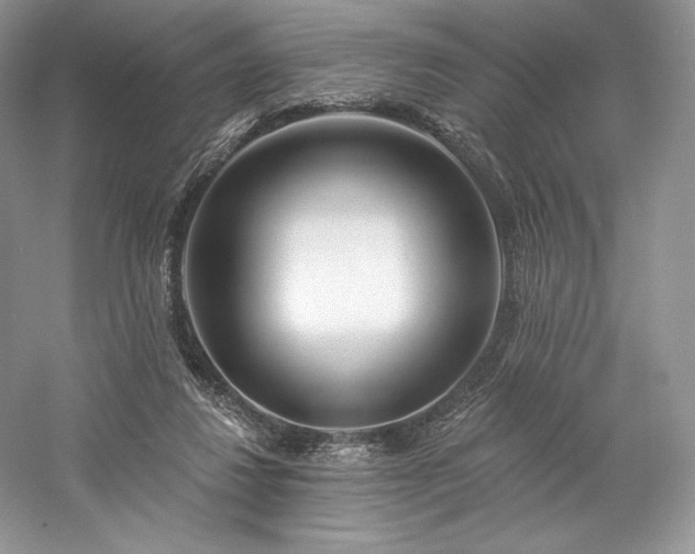 X0000059790260200510211125