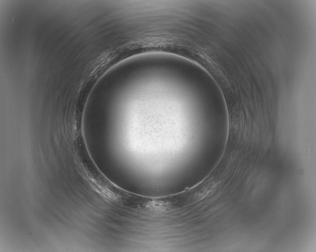 X0000059790261200510211125