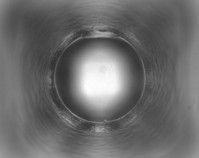 X0000059790264200510211125