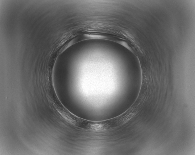 X0000059790265200510211125
