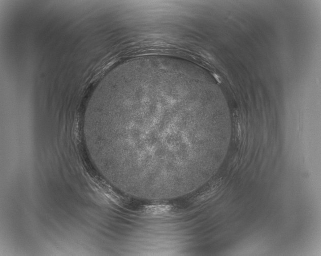 X0000059790266200510211125
