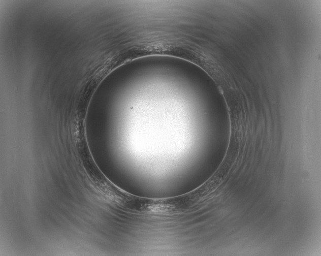 X0000059790268200510211125