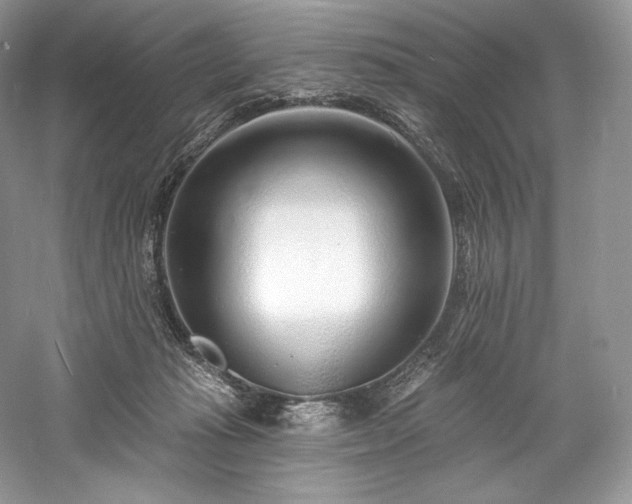 X0000059790269200510211125