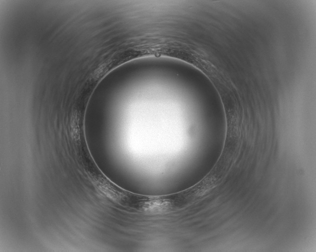 X0000059790274200510211125