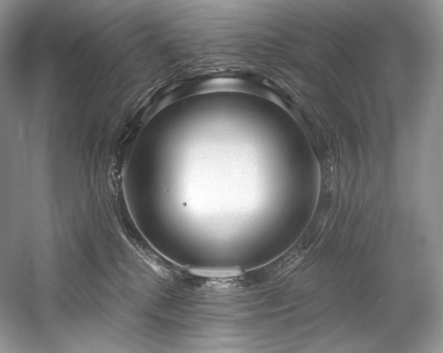 X0000059790280200510211125