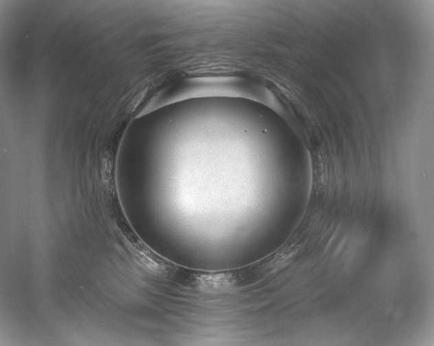 X0000059790281200510211125