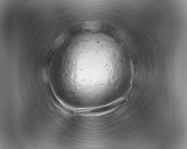 X0000059790285200510211125