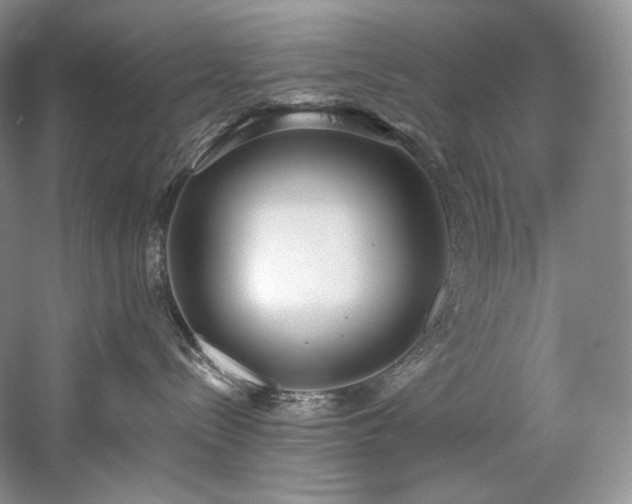X0000059790288200510211125