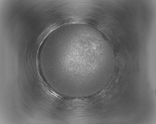 X0000059790290200510211125