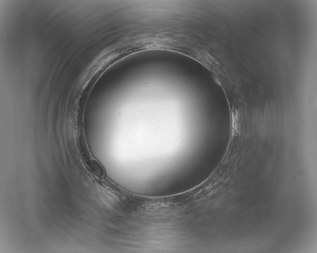 X0000059790291200510211125