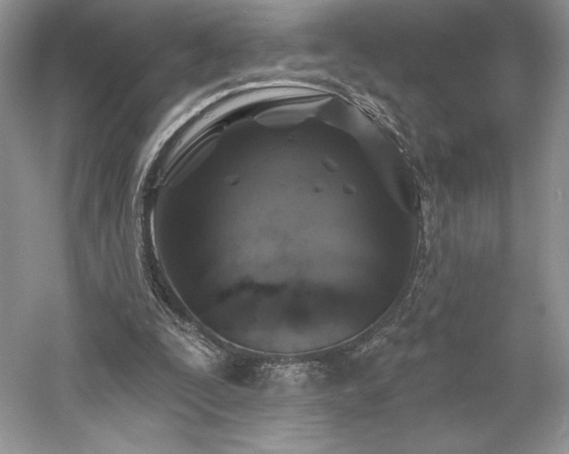 X0000059790295200510211124