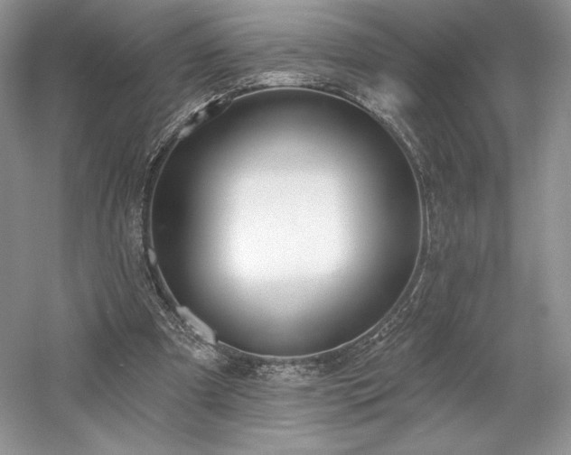 X0000059790297200510211124