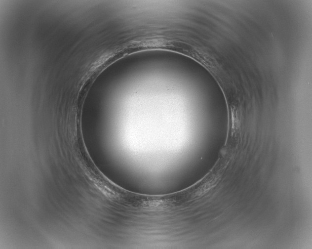 X0000059790301200510211124
