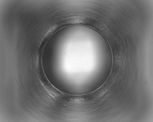 X0000059790304200510211124