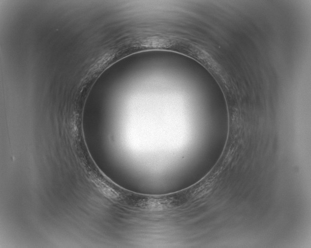 X0000059790305200510211124