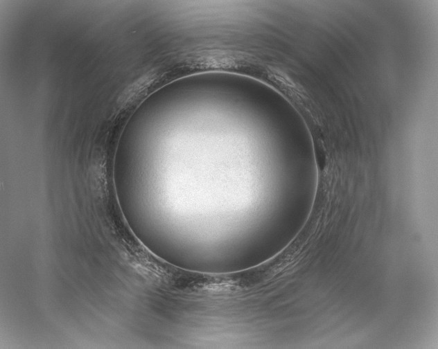 X0000059790306200510211124