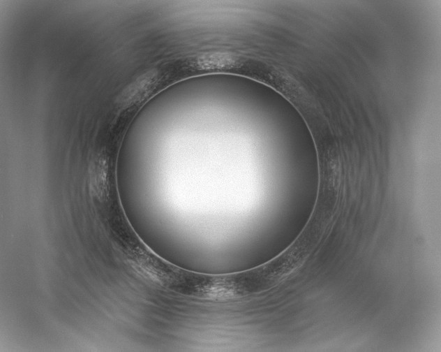 X0000059790308200510211124