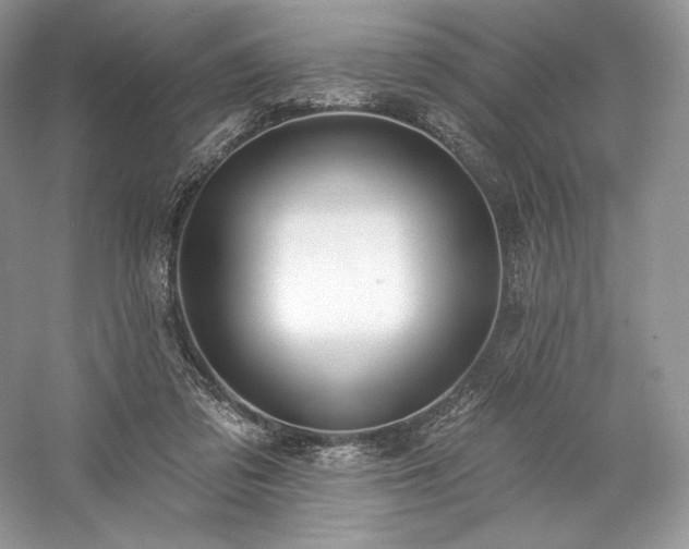 X0000059790309200510211124