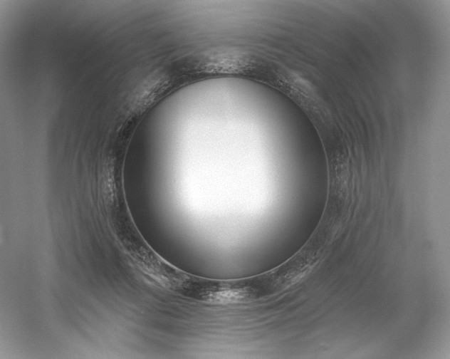 X0000059790312200510211124
