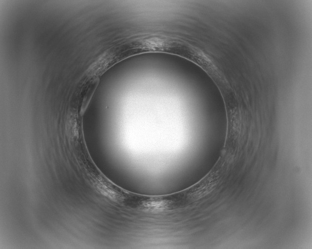 X0000059790313200510211124