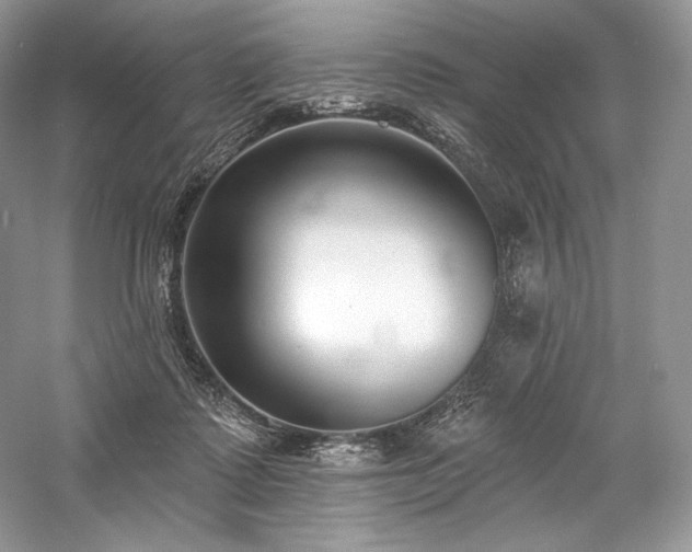 X0000059790315200510211124