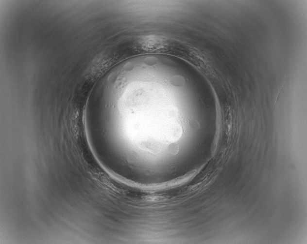 X0000059790319200510211124