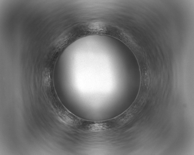 X0000059790320200510211124