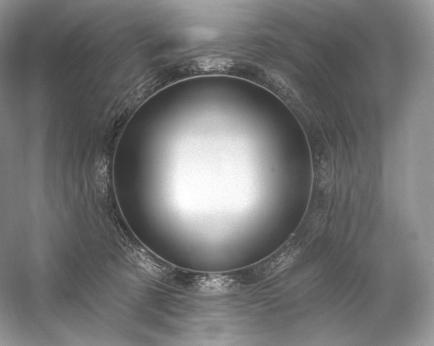 X0000059790321200510211124