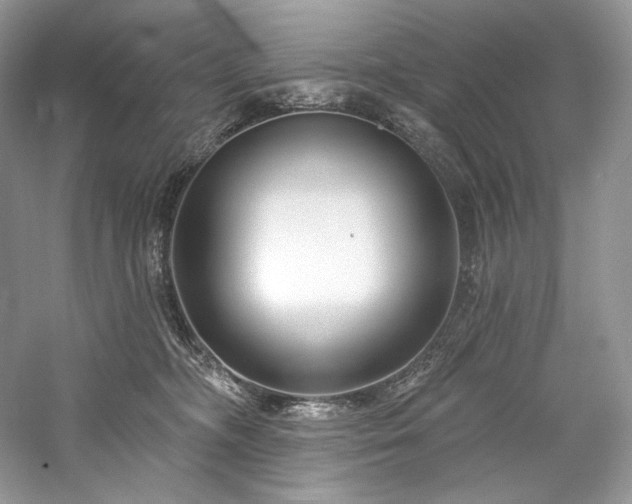 X0000059790326200510211124